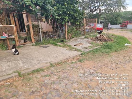 Imagem leilão