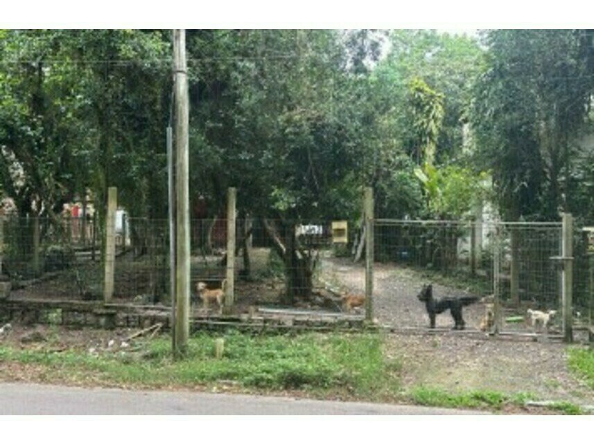 Imagem leilão