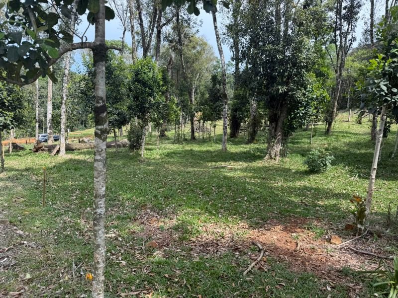 Terreno Alto Suruvy  com 42.634,18m² em Concórdia/SC - foto 5