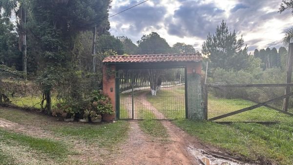 Imagem leilão