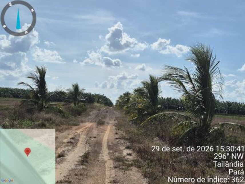 Área Rural à venda em leilão - Colônia Tailândia, Km 25, s/n - Interior - Tailândia / PA em Tailândia/PA - foto 11
