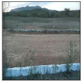 Terreno, 0.00 de área total, 0.00 de área privativa, 126.00 de área do terreno. em Jataúba/PE