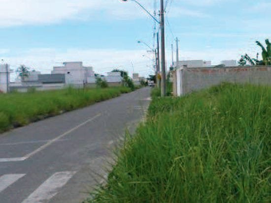 Imagem leilão
