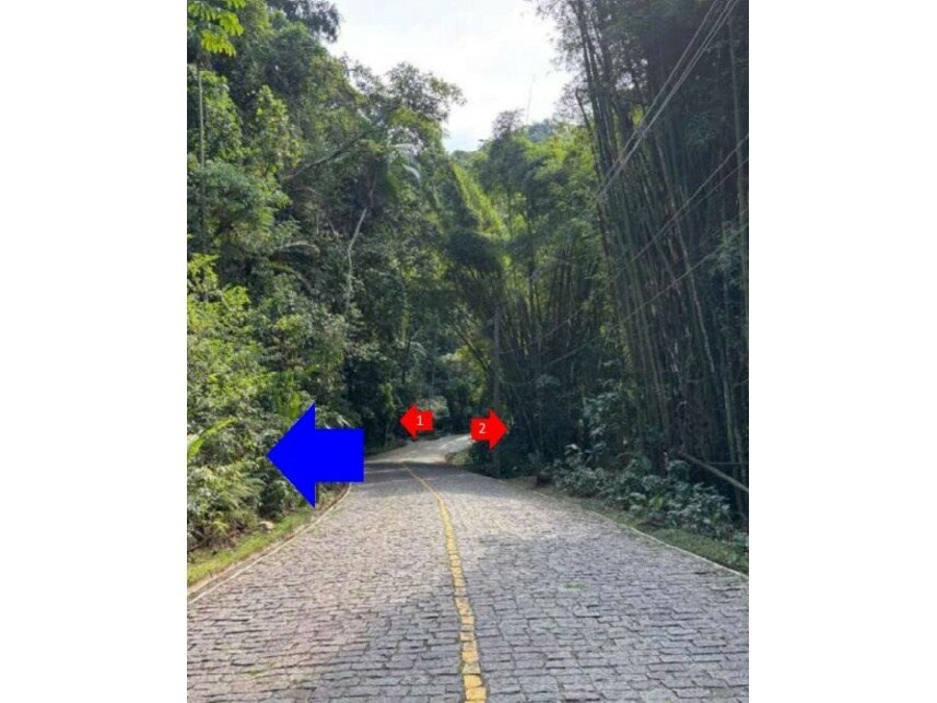 Imagem leilão
