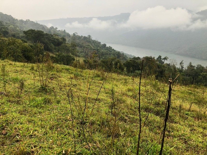 A FRAÇÃO IDEAL DE 50% (128.750,00M²) SOBRE O LOTE RURAL.. em Erval Grande/RS - foto 26