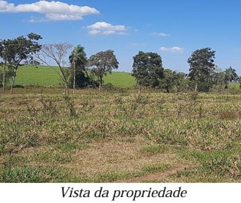 ALIENAÇÃO FIDUCIÁRIA da FAZENDA KALAFATE - Área de 359h.. em Bela Vista/MS - foto 8