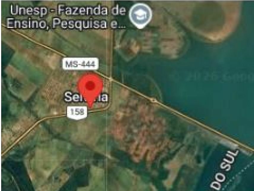 Imagem leilão