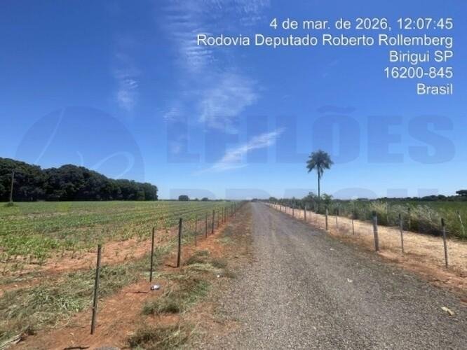 Imagem leilão