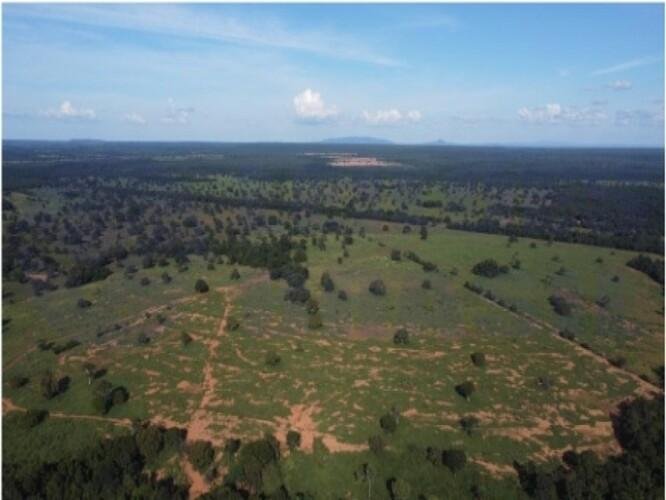 ID Bem 147625 - Lote:
    1 - 3.466 - ARAGUACU/TO - GLEBA - COM ÁREA DE 52.66.00ha em Araguaçu/TO - foto 5