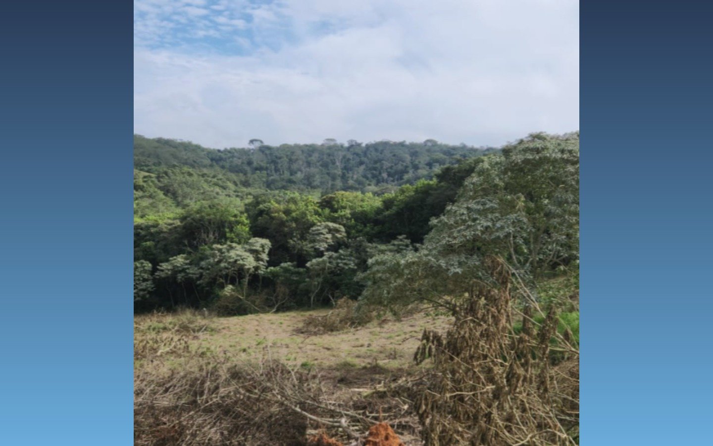 Terreno rural de 24.200m² — Boa Esperança/MG em Boa Esperança/MG - foto 3