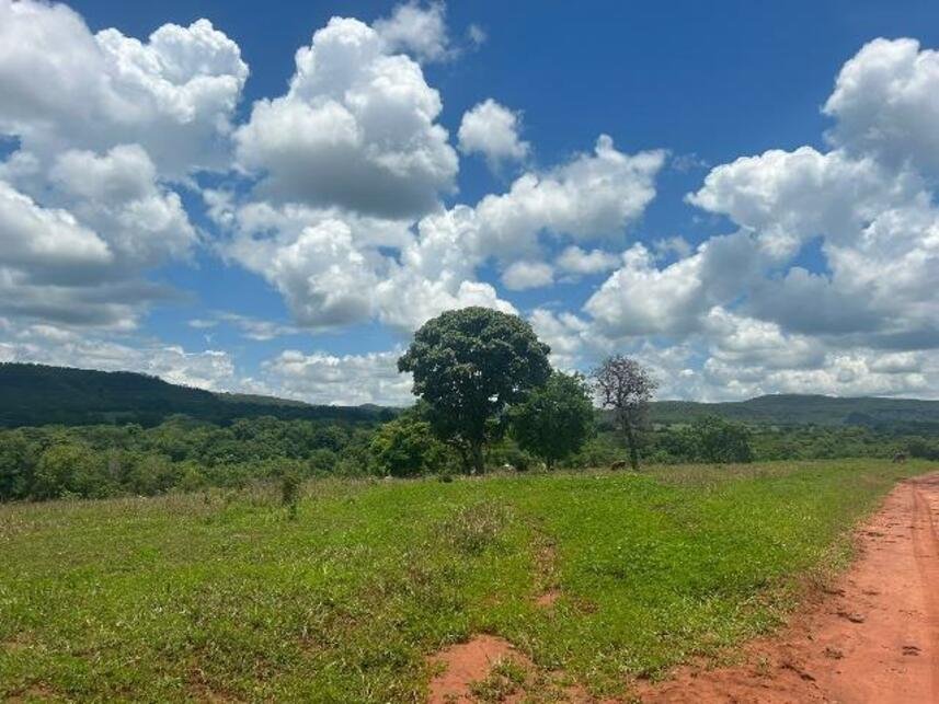 Imagem leilão