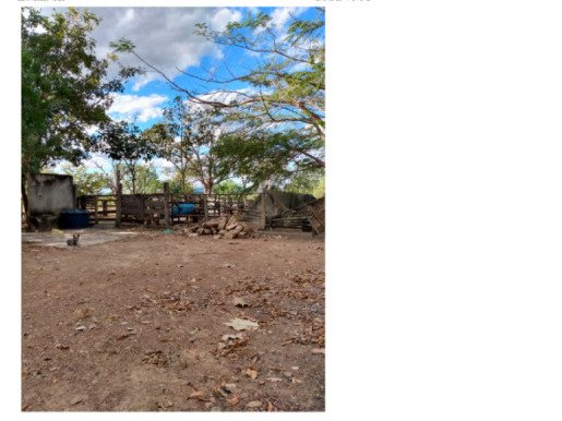 FAZENDA DOIS IRMÃOS MEDINDO 13,96 ALQUEIRES EM COLMÉIA, TOCANTINS em Colméia/TO - foto 8