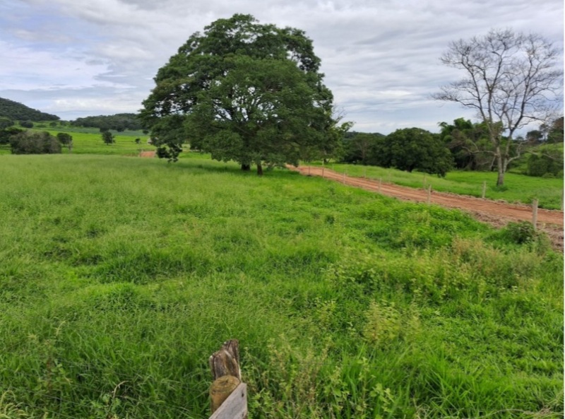 Terreno rural com ou sem benfeitorias em Jandaia/GO - foto 4
