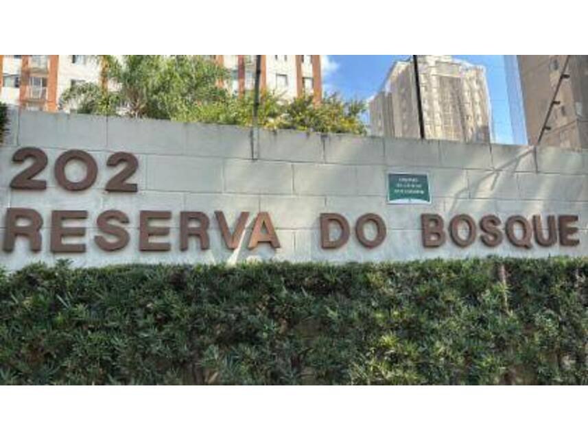 Imagem leilão