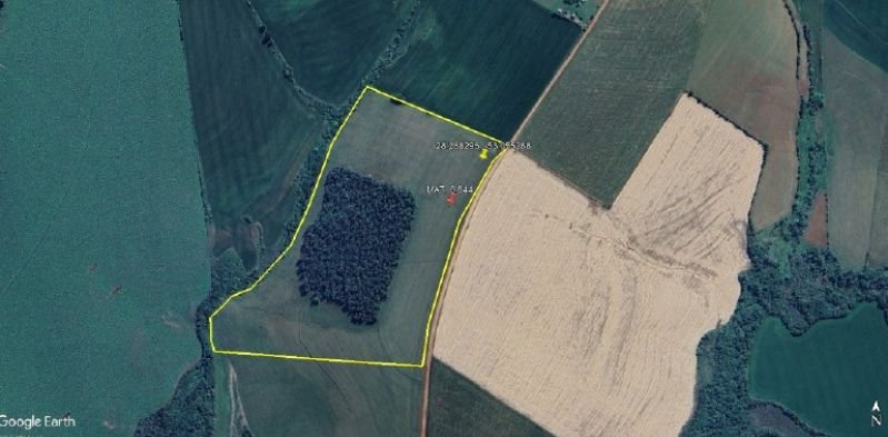 Imagem leilão