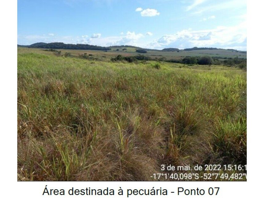 Imagem leilão