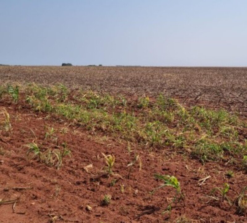FRAÇÃO IDEAL correspondente a 100HA FAZENDA SÃO MATHEUS IV em Ponta Porã/MS - foto 5