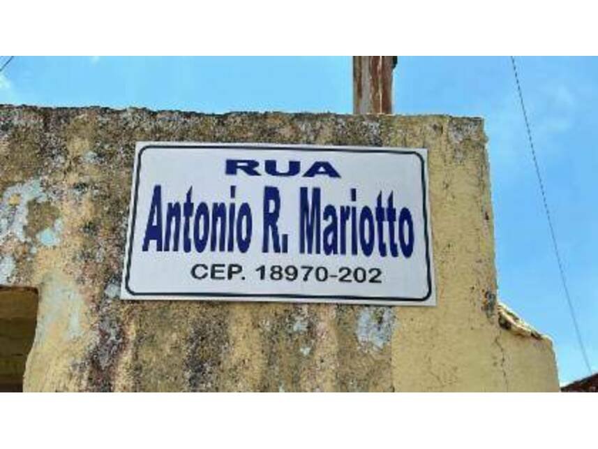 Imagem leilão