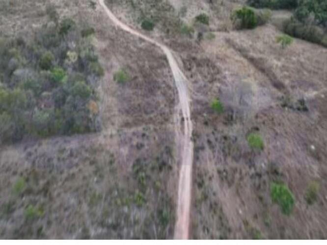 Imagem leilão