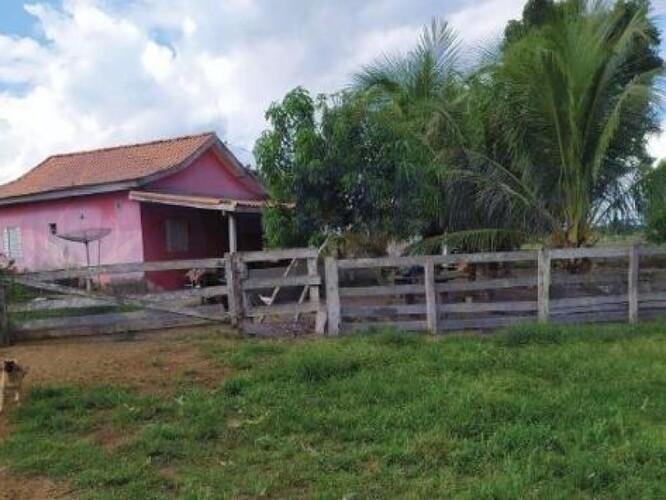 Imagem leilão