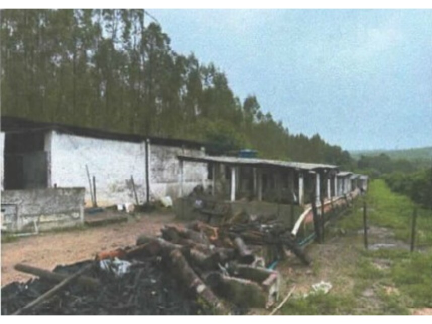 Imagem leilão
