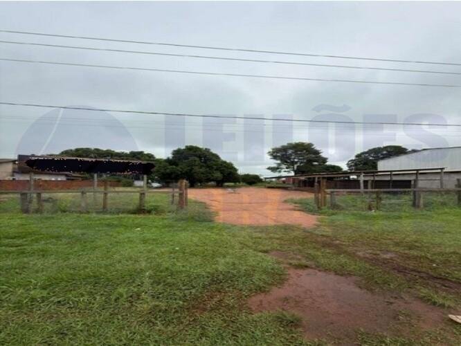 Imagem leilão
