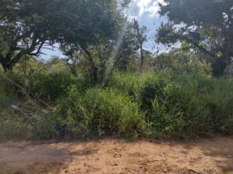 Imagem leilão