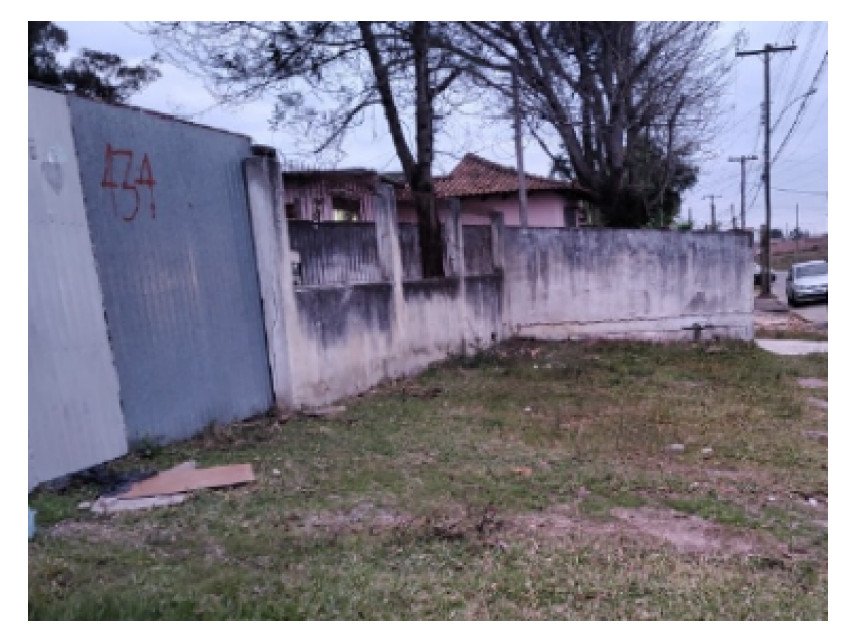 Imagem leilão
