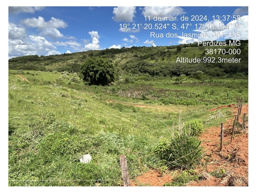 Imagem leilão
