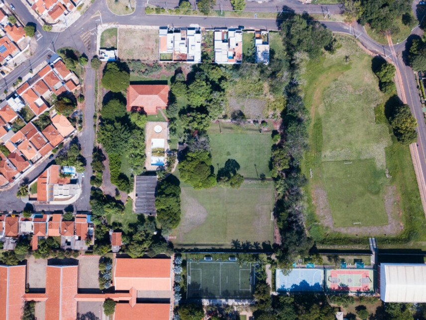 Imagem leilão