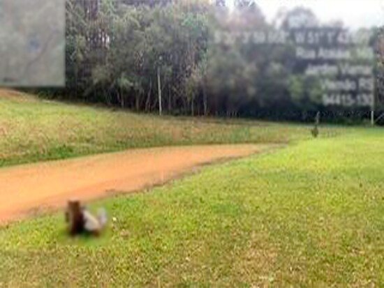 Imagem leilão