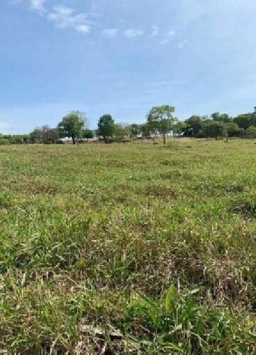 ID 21532 - Lote:
    1 - 202605000160 - Área rural - Propriedade Rural em Santa Fé de Goi em Santa Fé de Goiás/GO - foto 2