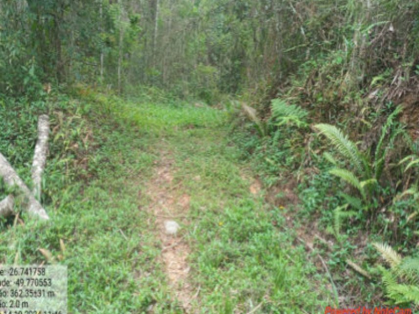 Terreno à venda em leilão - Estrada Municipal, S/N - Estrada municipal - Itaió - Itaió - I em Itaiópolis/SC - foto 2