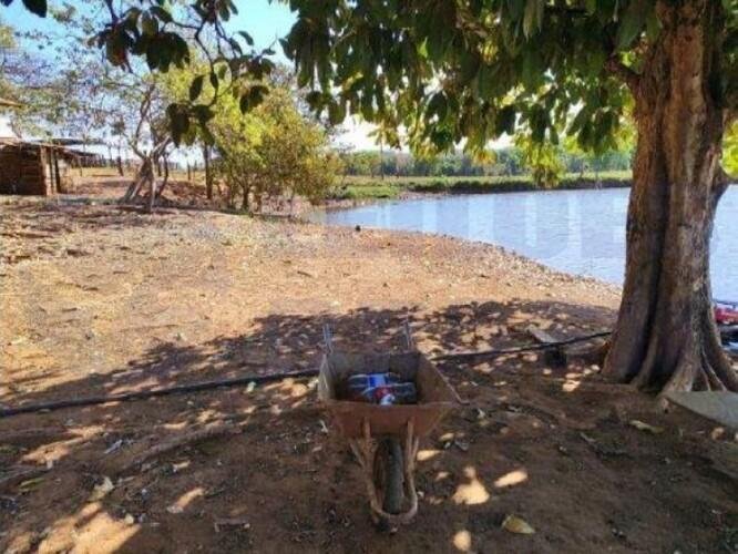Imagem leilão