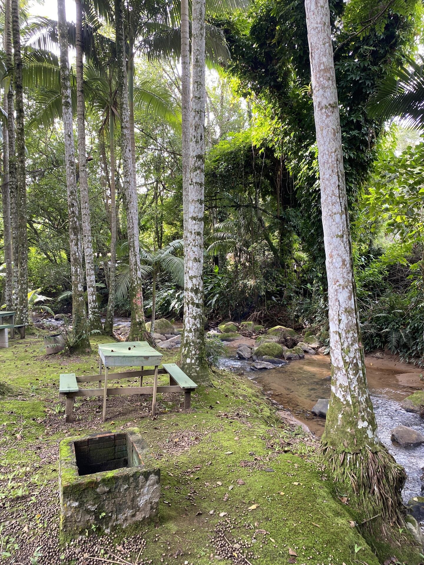 EMPREENDIMENTO DE LAZER E ENTRETENIMENTO PARQUE AQUÁTICO CASCATA DANIELA INSTALAÇÕES E BEN em Itajaí/SC - foto 43
