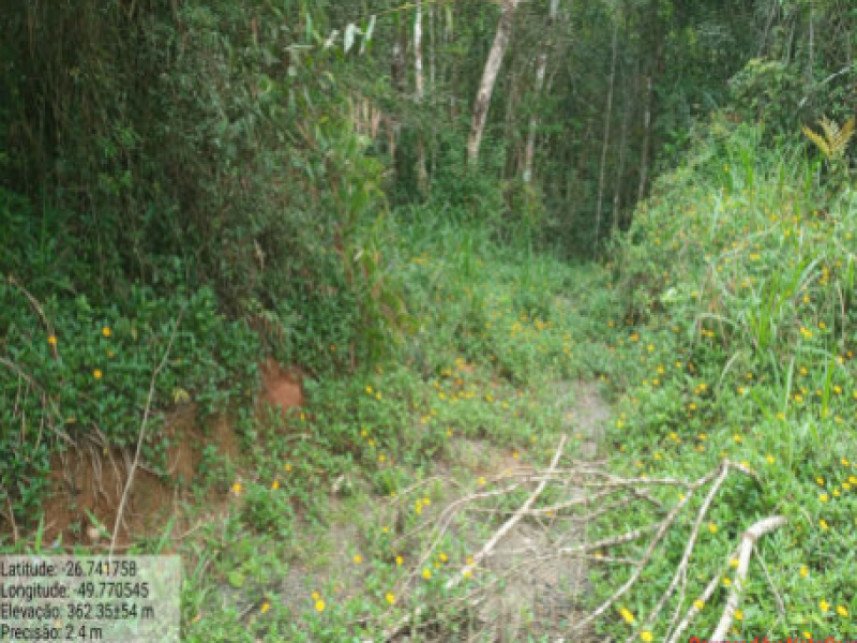 Terreno à venda em leilão - Estrada Municipal, S/N - Estrada municipal - Itaió - Itaió - I em Itaiópolis/SC - foto 4