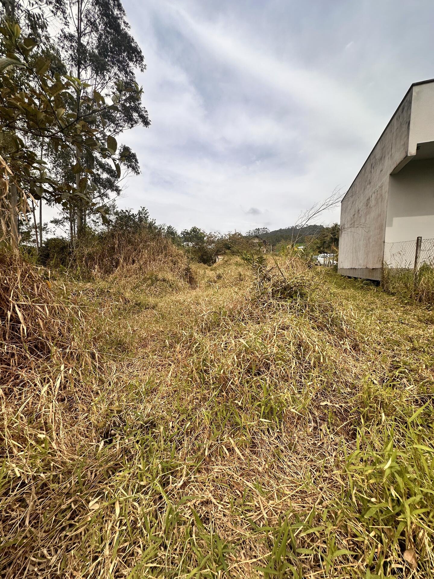 LOTE COMPOSTO 02 IMOVEIS URBANOS em Doutor Pedrinho/SC - foto 9
