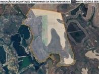 Imagem leilão
