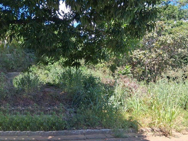 Terreno MINAÇU | GOIÁS em Minaçu/GO - foto 1