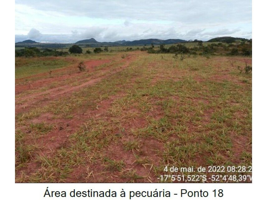 Imagem leilão