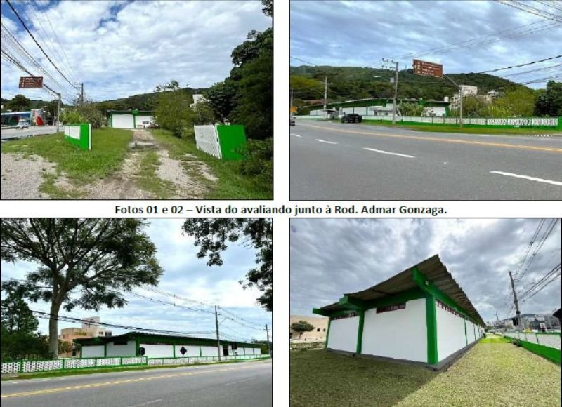 Imagem leilão