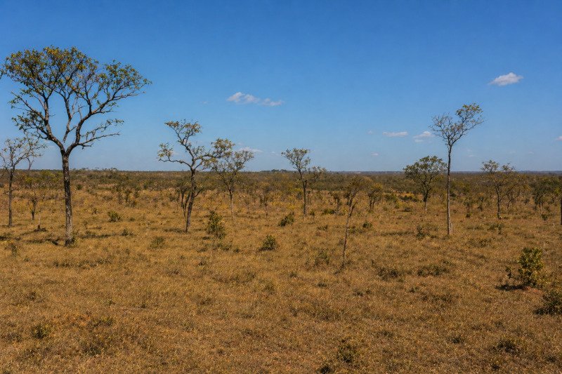 IMÓVEL RURAL EM SANTA FÉ DE MINAS COM 242 HECTARES em Santa Fé de Minas/MG