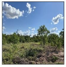 Gleba, 0.00 de área total, 0.00 de área privativa, 158575.59 de área do terreno. em Cuiabá/MT
