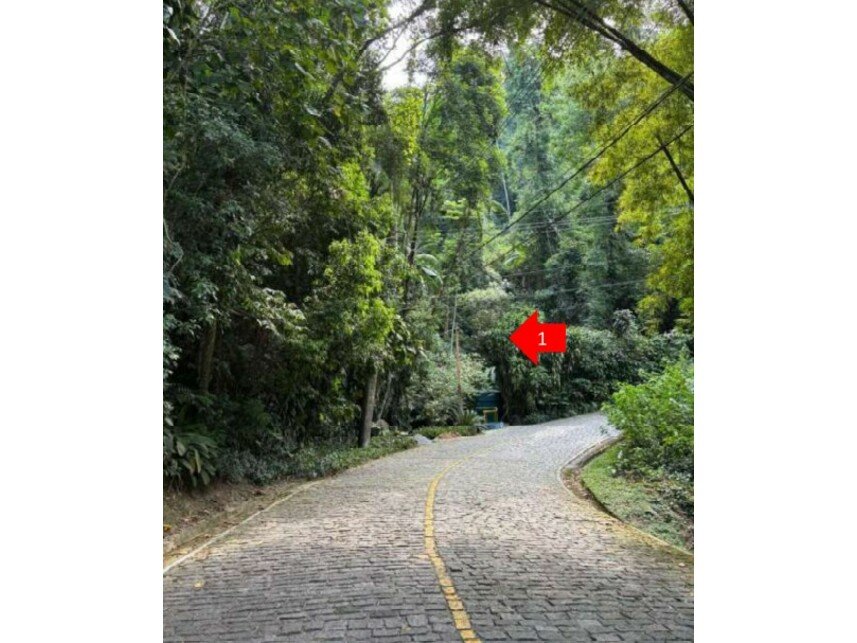 Imagem leilão