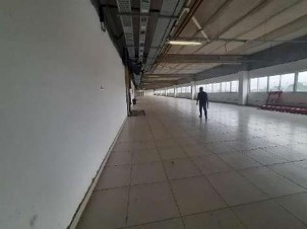 Imagem leilão