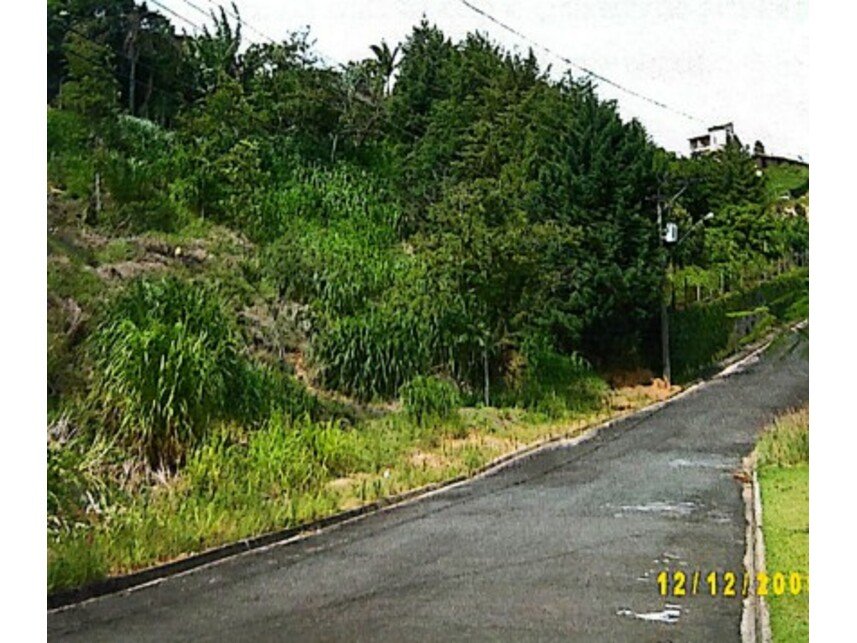 Imagem leilão