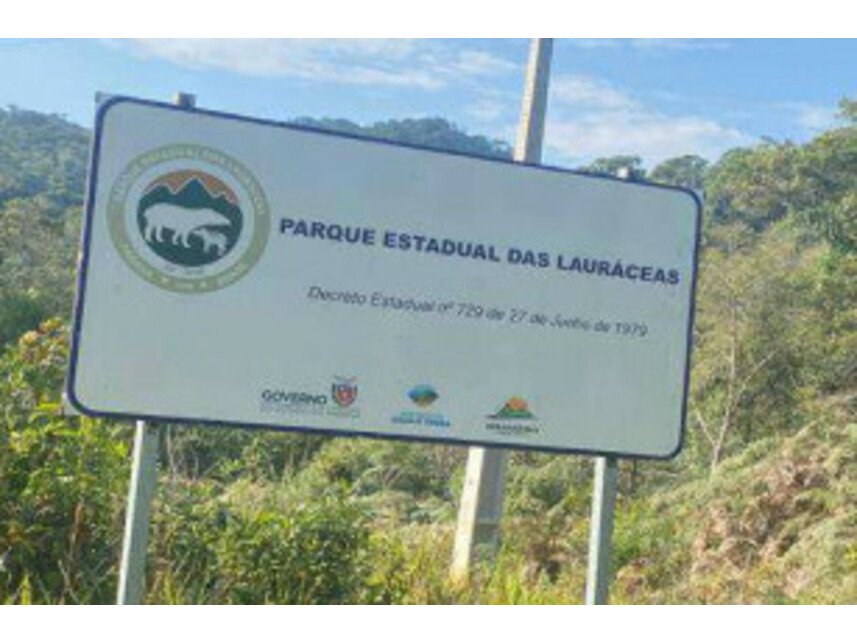 Imagem leilão