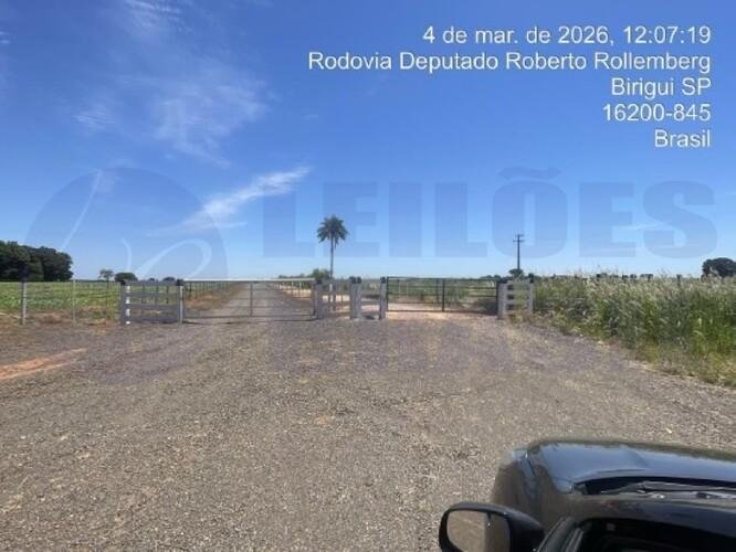 Imagem leilão