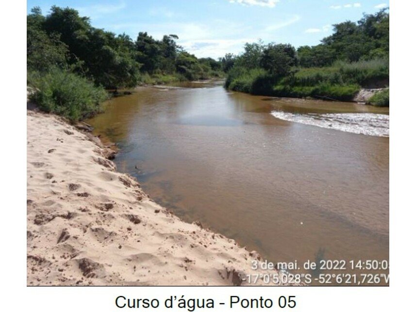 Imagem leilão