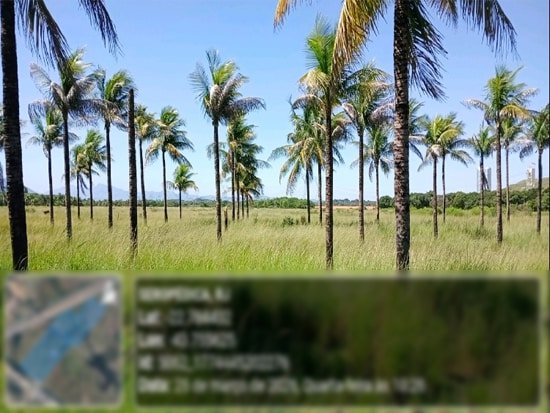 Imagem leilão
